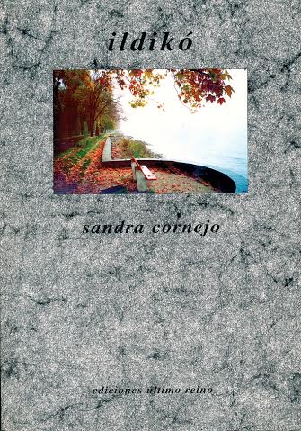 Sandra Cornejo 8. Libro Ildikó